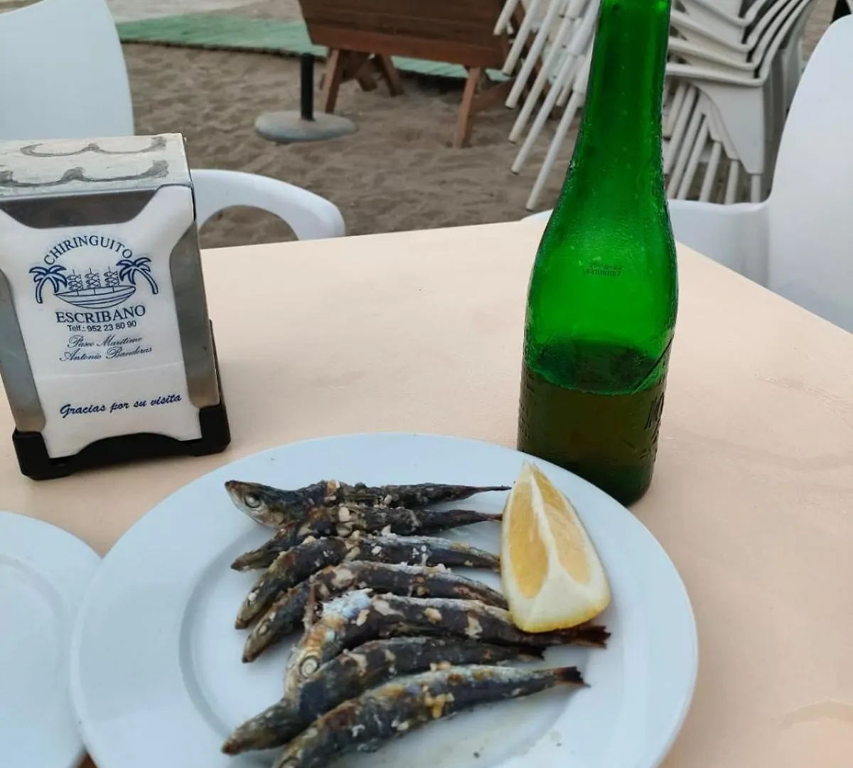 La Maison Del Mar Guest House Malaga 0*,  Spain